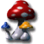 Champignons